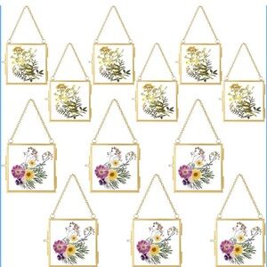 Gold Double Glass Pressed Flower Frame 2.4x2.4 Set of 12